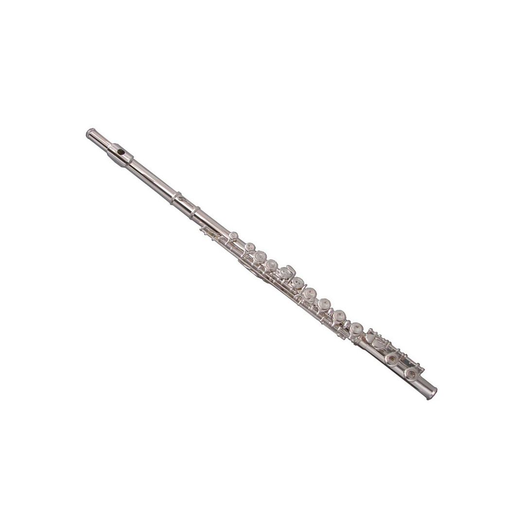 1022951473409870.jpg SOUNDSATION SFL-10 DO (C) Silver & Case Φλαόυτο - Image 1