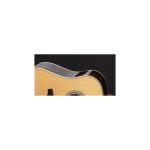 Takamine GD90CE Ziricote Natural - Image 2