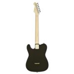 Aria Pro II TEG Series Black with Red Tortoise Pickguard - Image 2